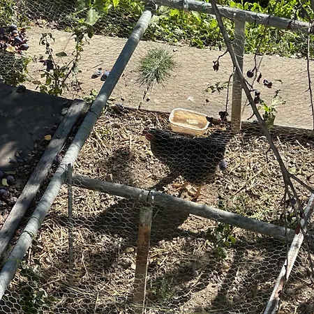 木屋 Alpine & Compagny -next To Crans Montana - Swiss Alps