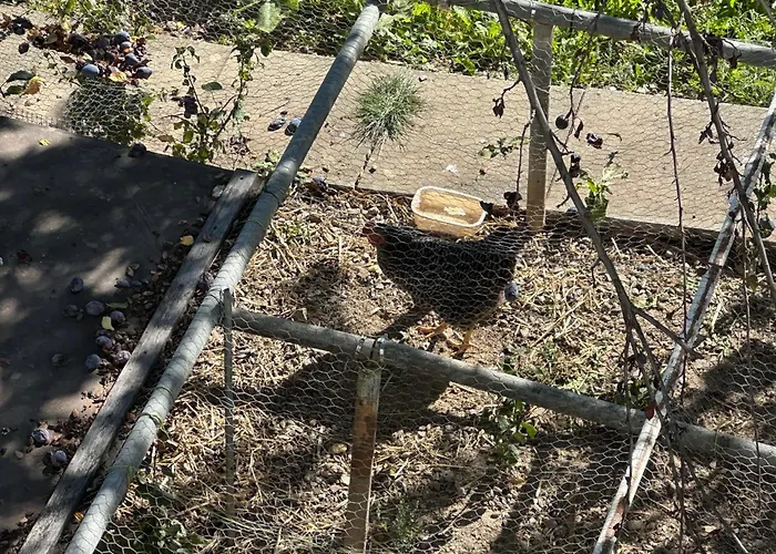 샬레 Alpine & Compagny -next To Crans Montana - Swiss Alps